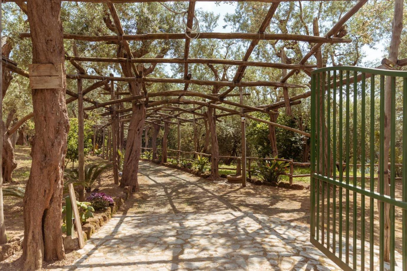 Casale Del Nonno Sorrento
