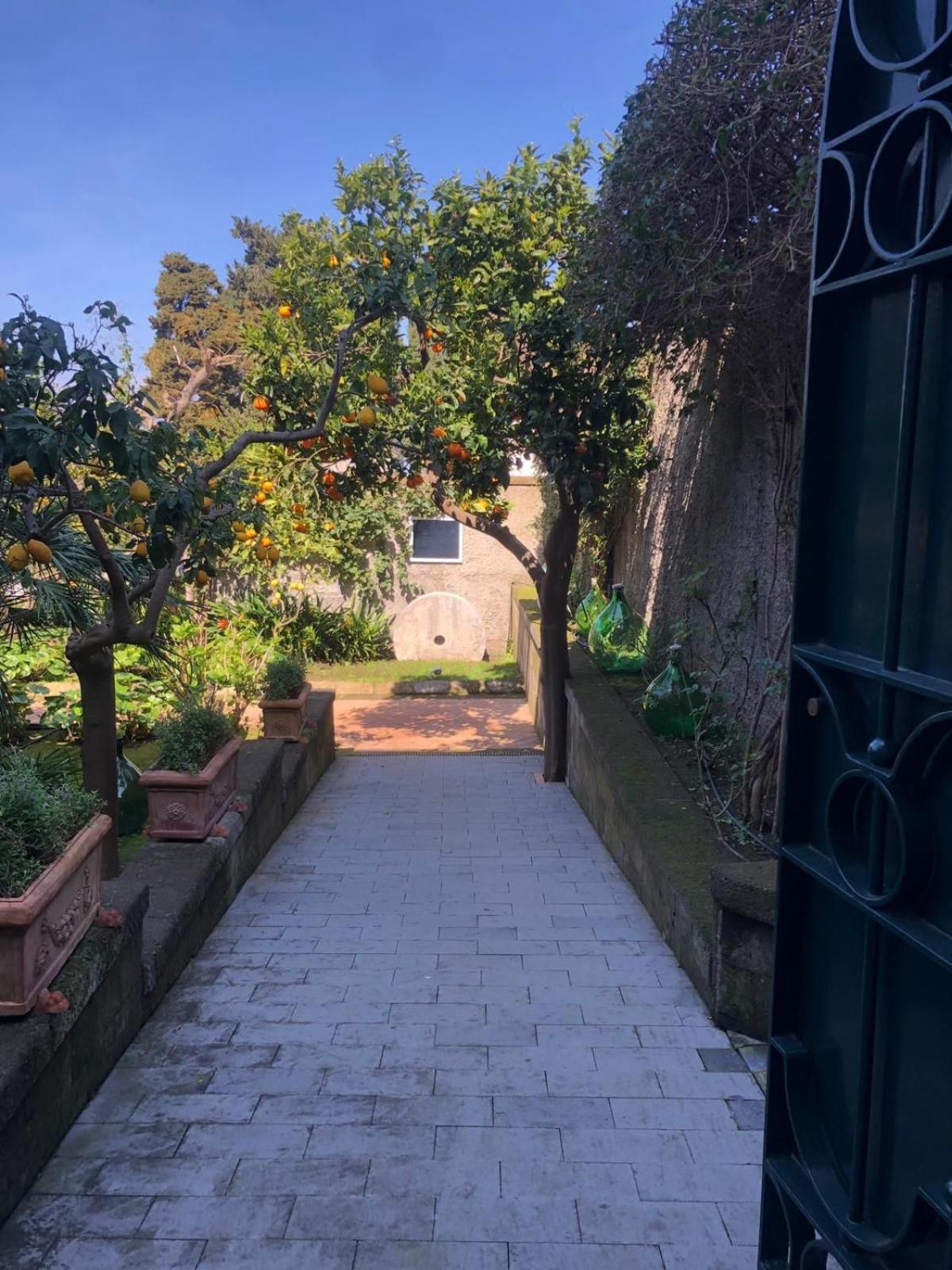 Lidia Sorrento