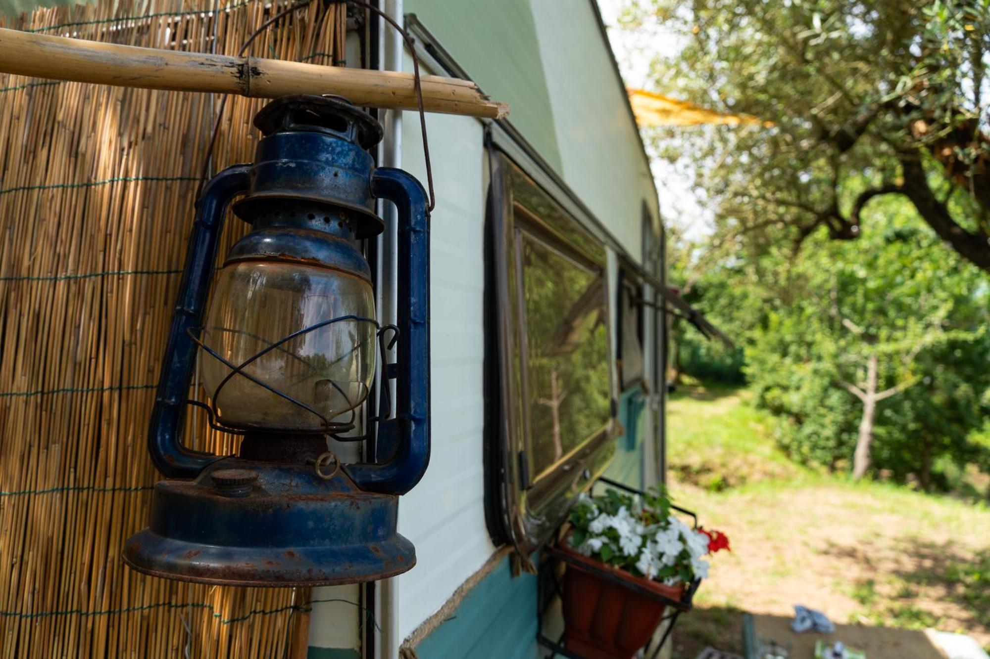 Luxury tent Habitat Eco Farm