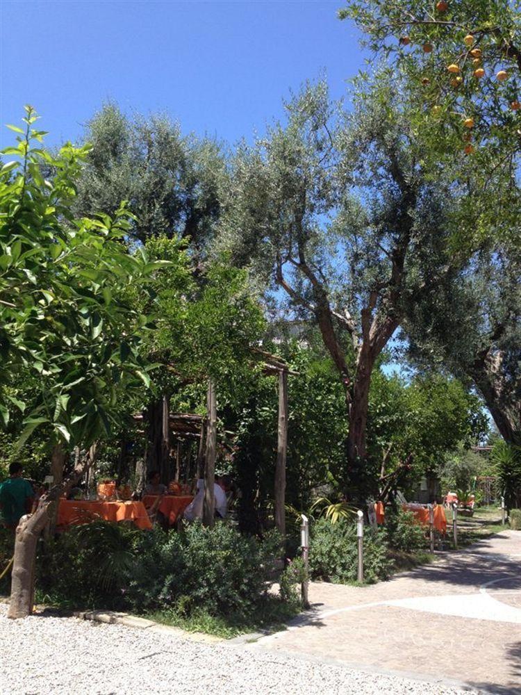 Artis Domus Relais & Guest house Sorrento