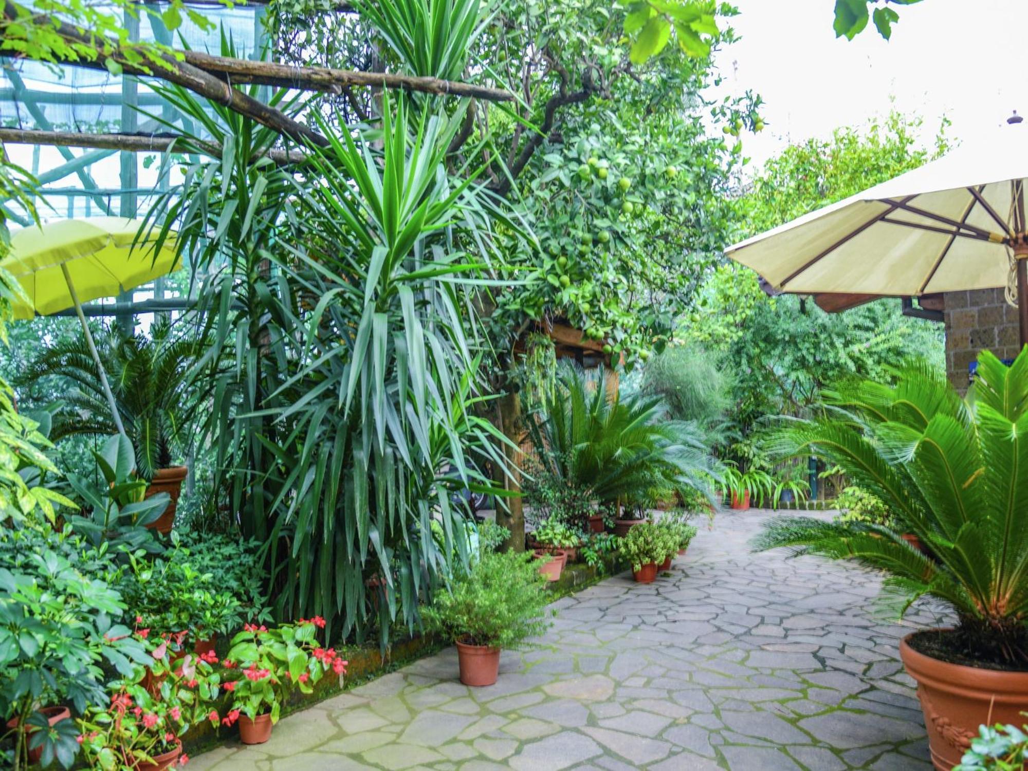 Casa de férias Luxurious Mansion In With Garden Sorrento