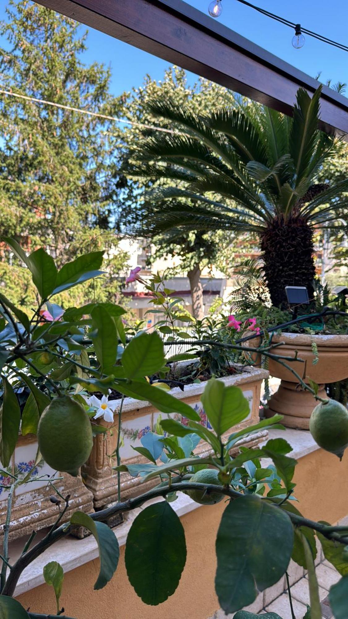 Relais Terrace And Relax Bed & Breakfast *