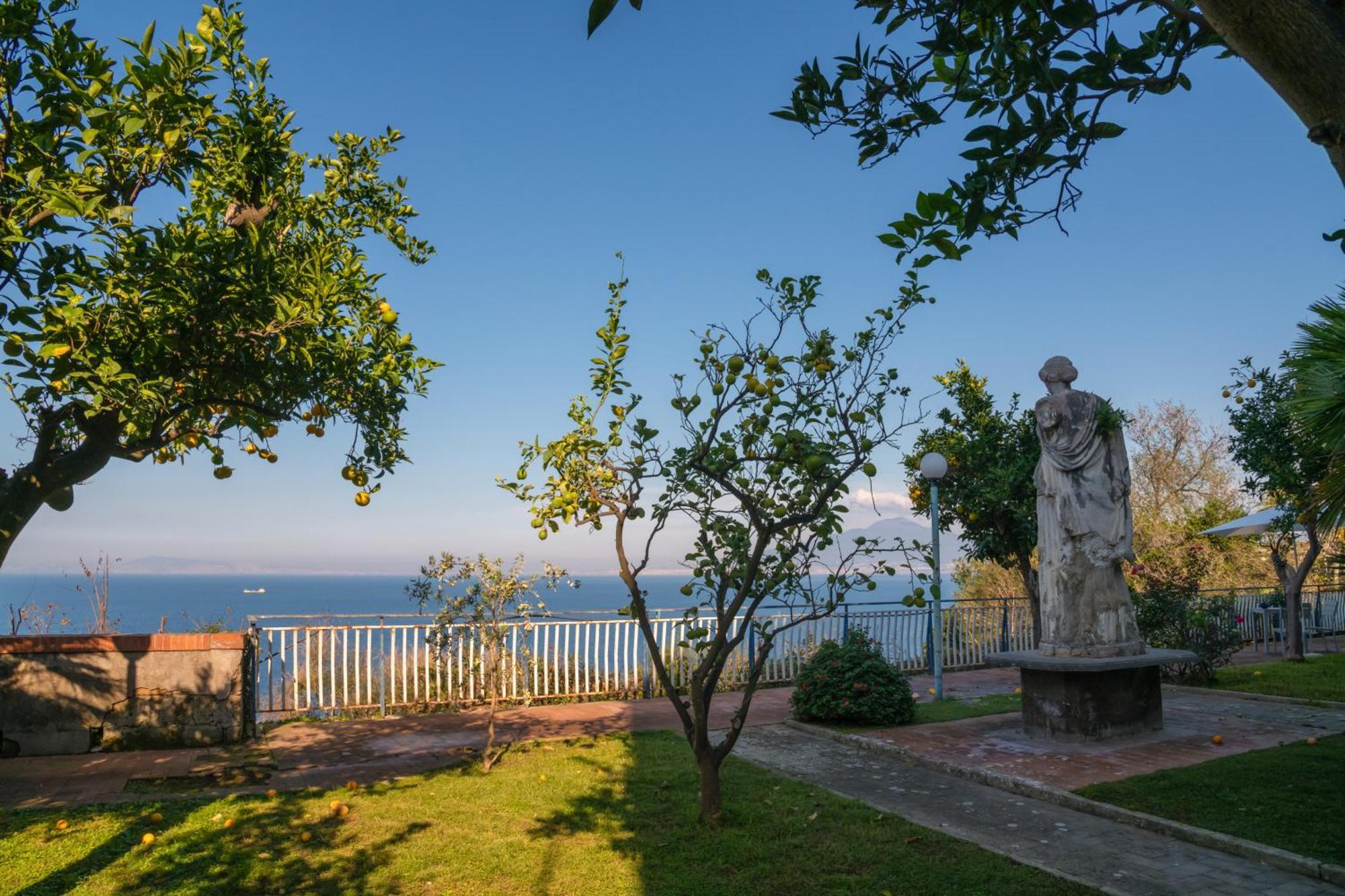 Lemon Soul Center * Sorrento