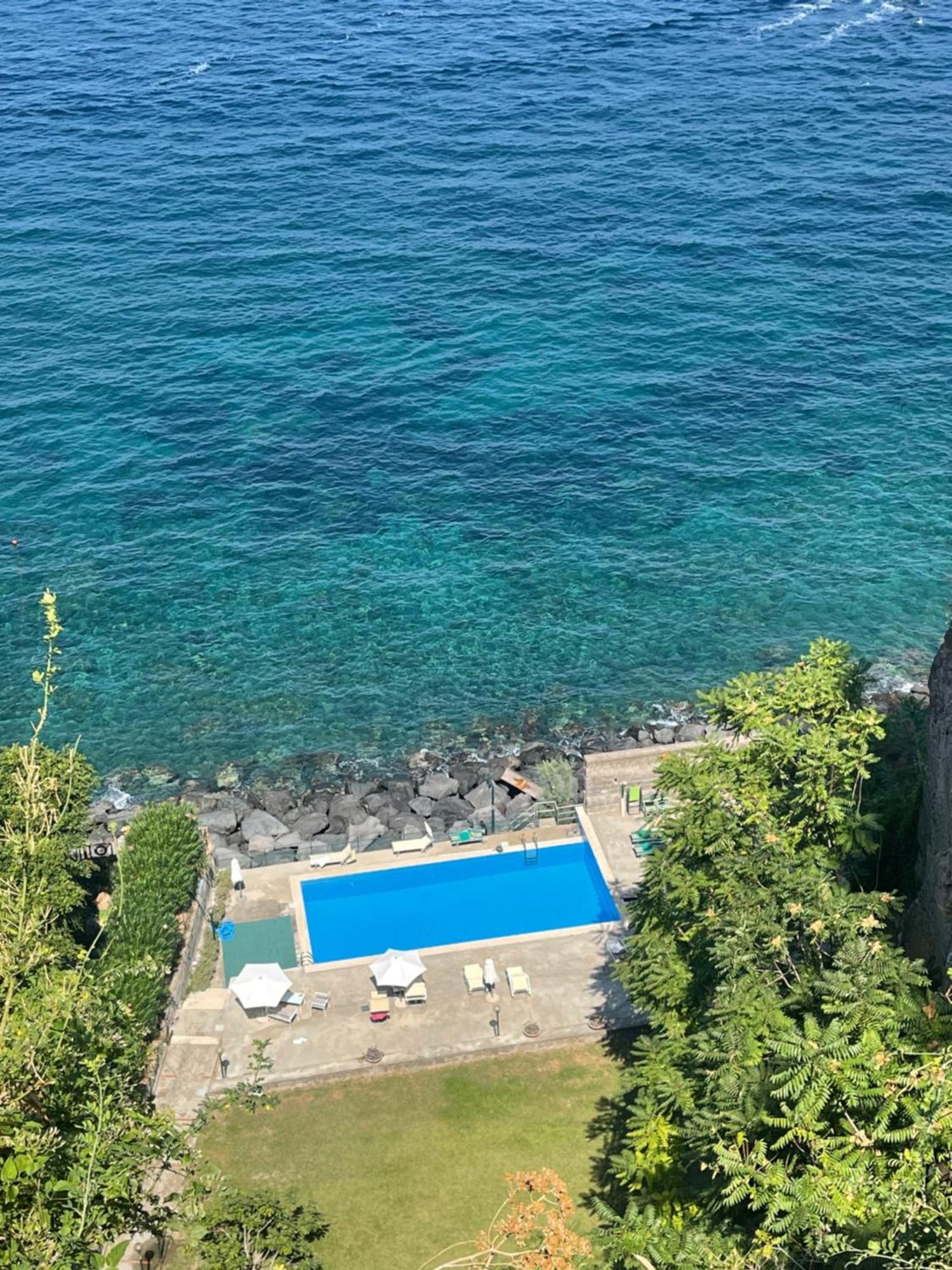 Lemon Soul Center * Sorrento
