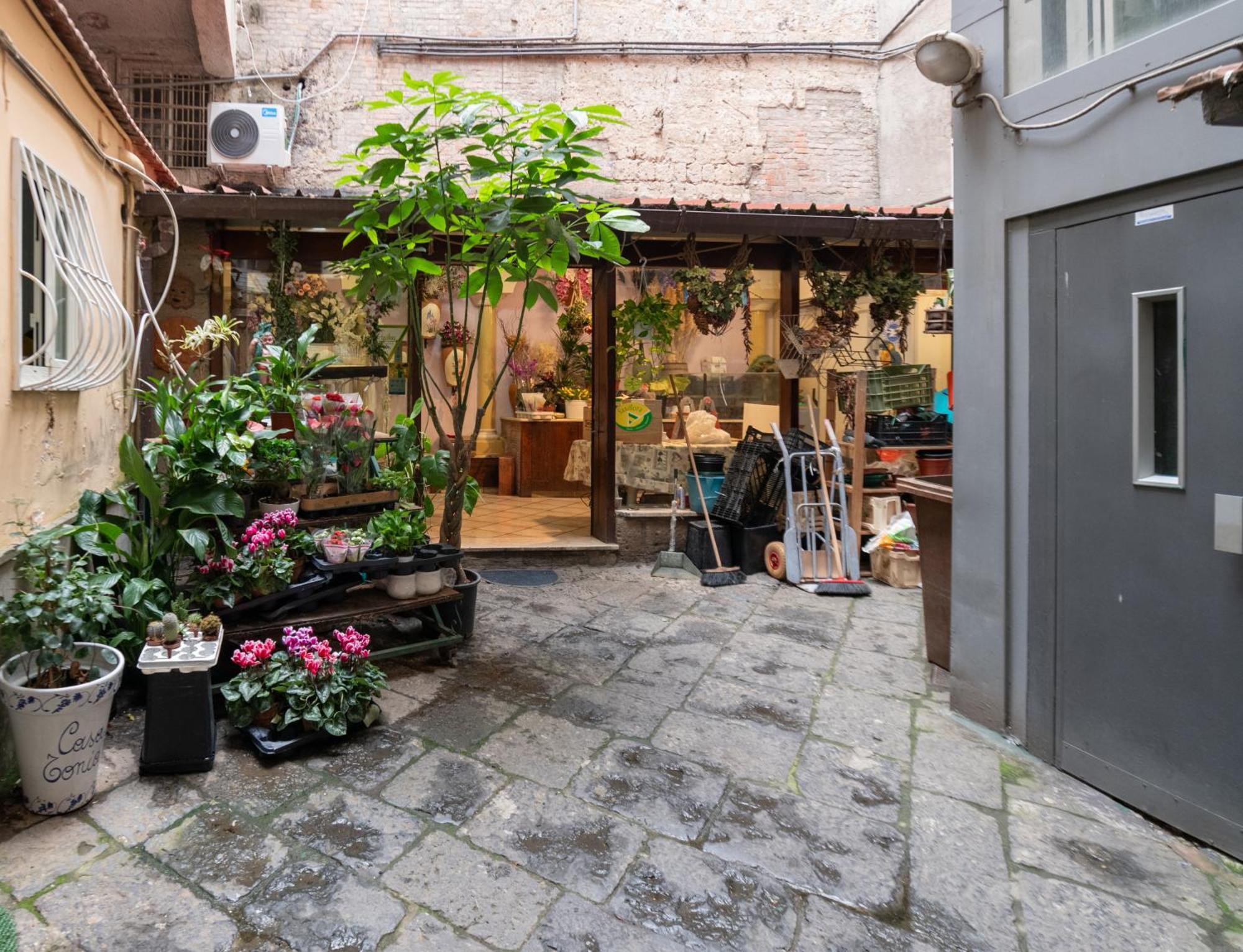 Lovely Vicino Al Mare E Ai Traghetti Appartement