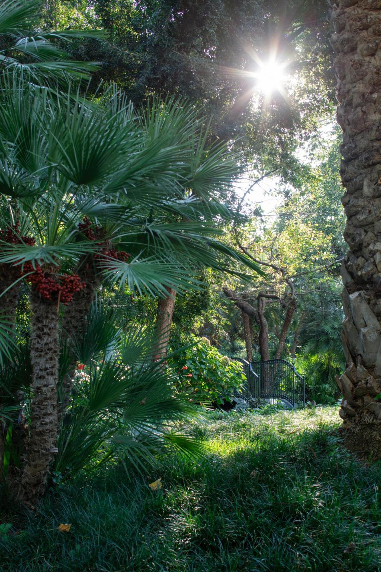 Parco Dei Principi Hotel Sorrento