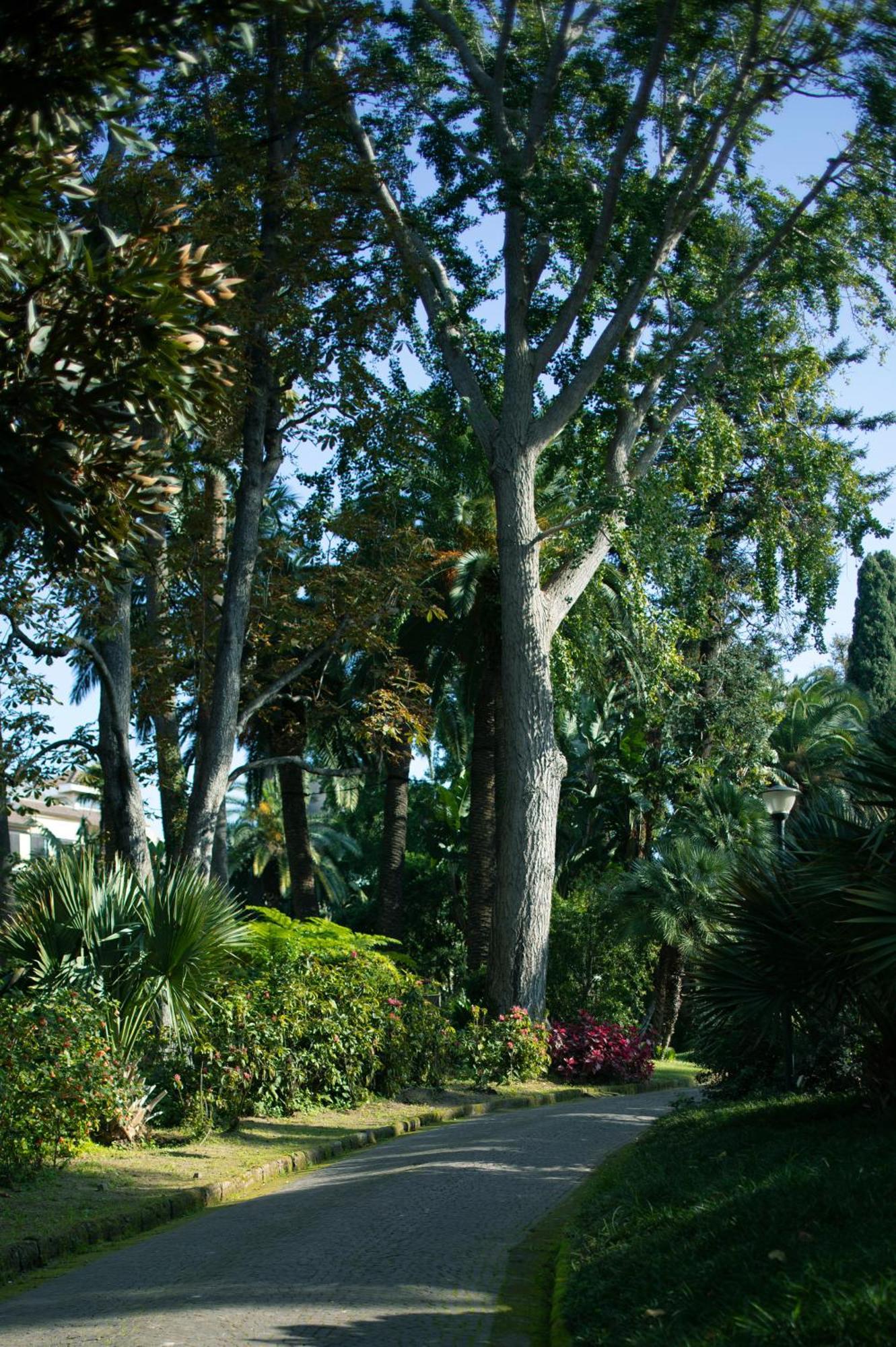Parco Dei Principi 5*