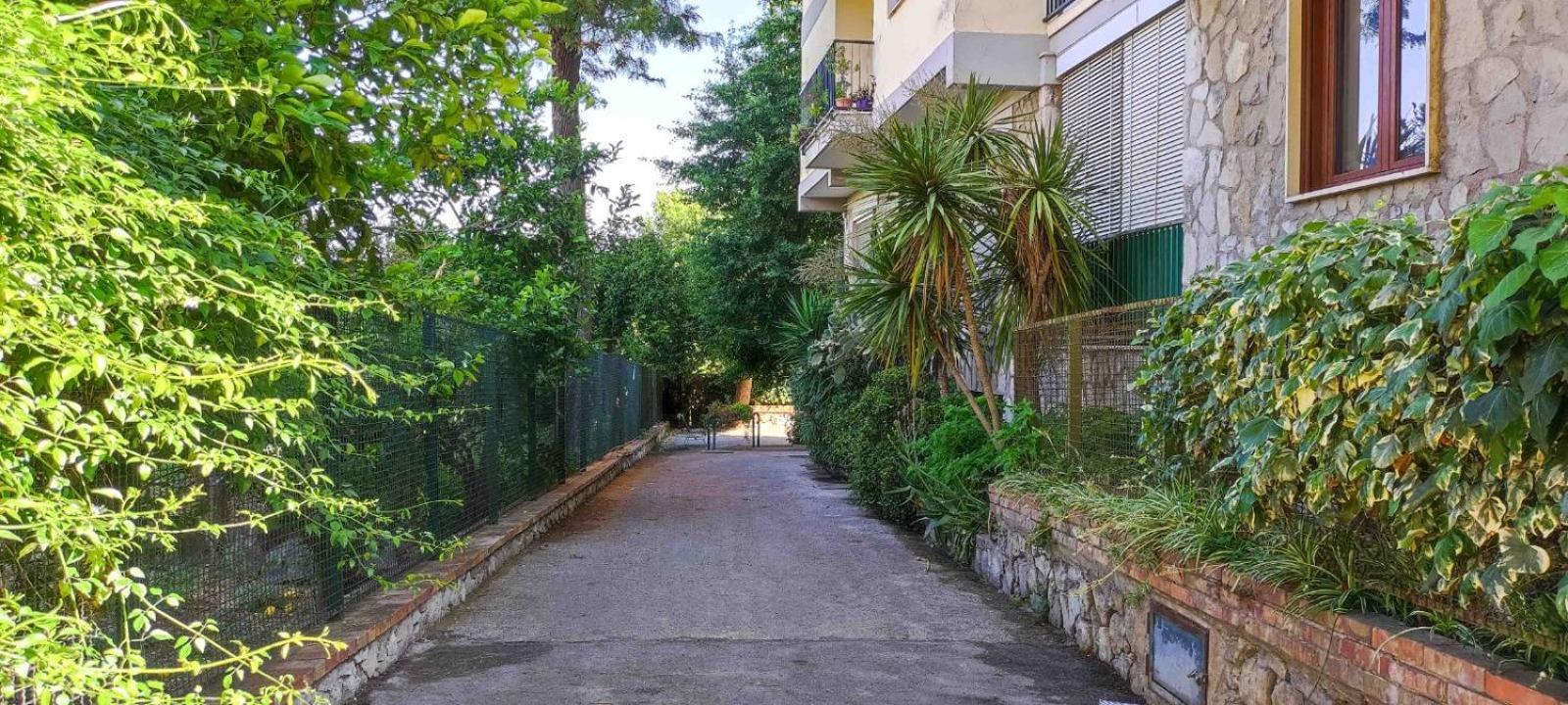 Apartment - Louise Sorrento