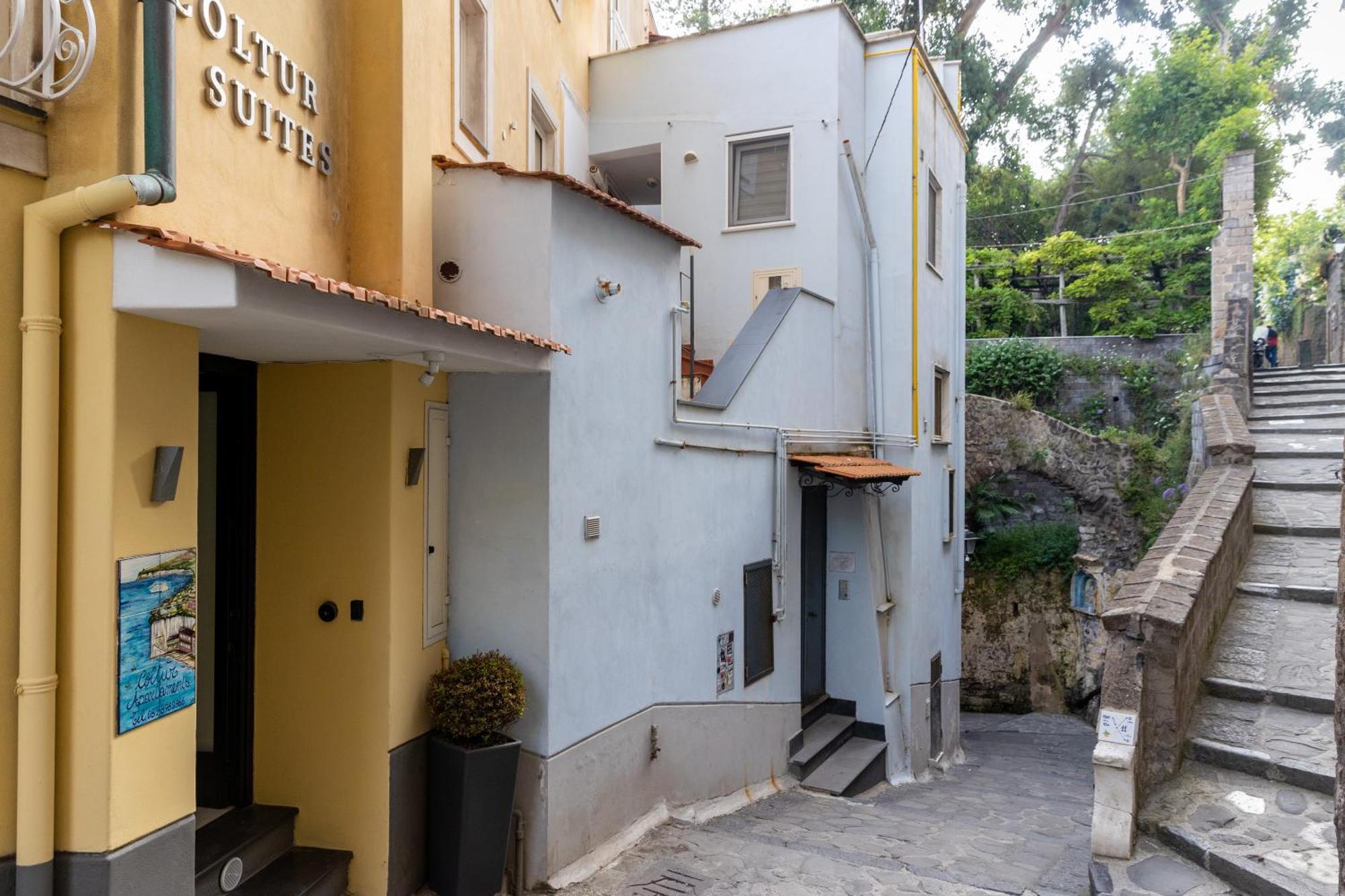 Apartment Coltur