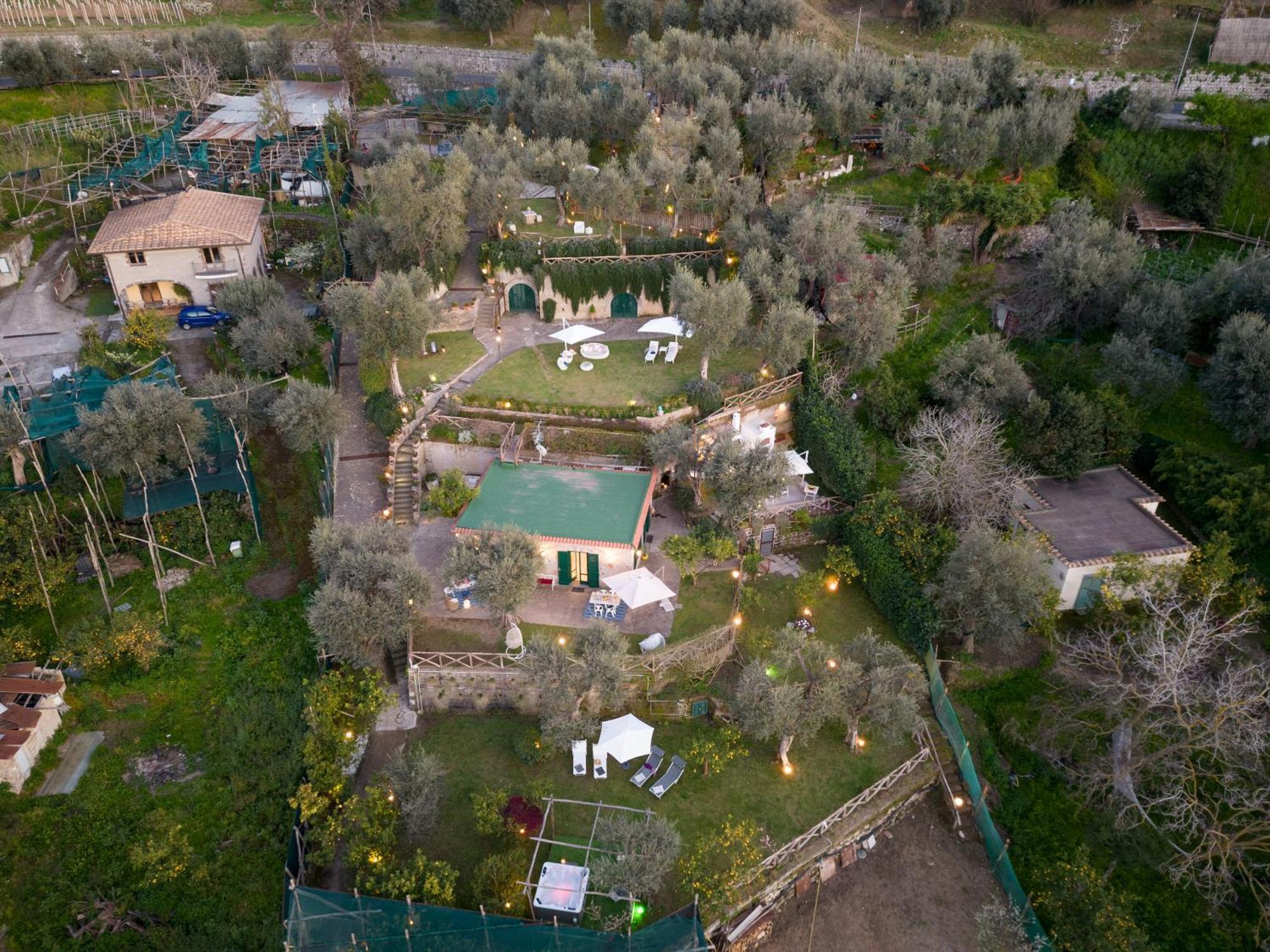 Margherita Garden