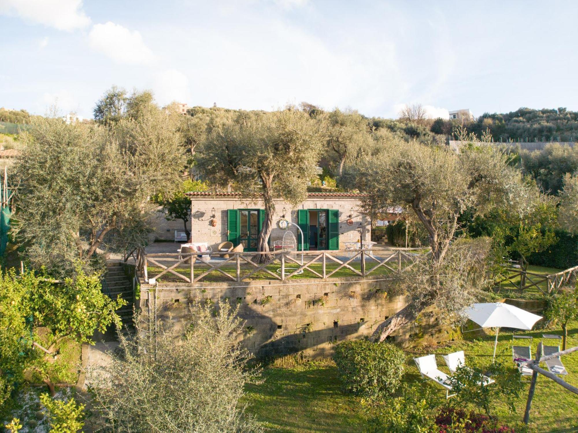 Margherita Garden *