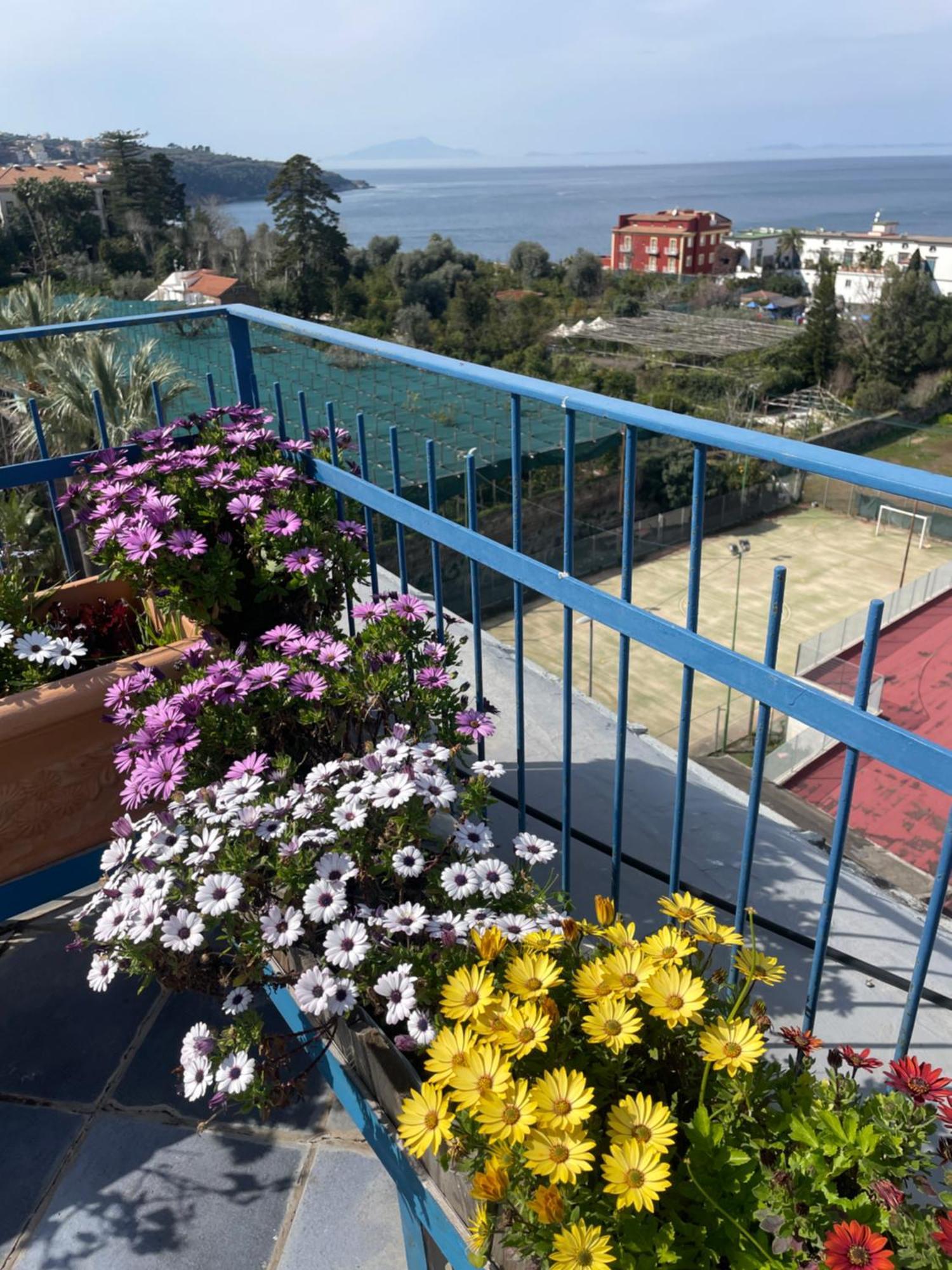 Sea&skyview Sorrento