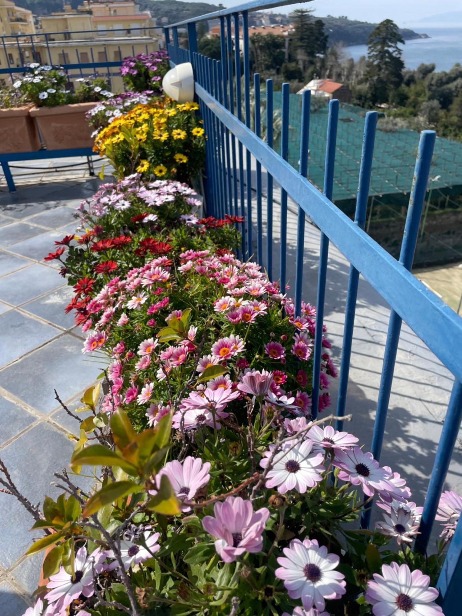 Apartment Sea&skyview Sorrento