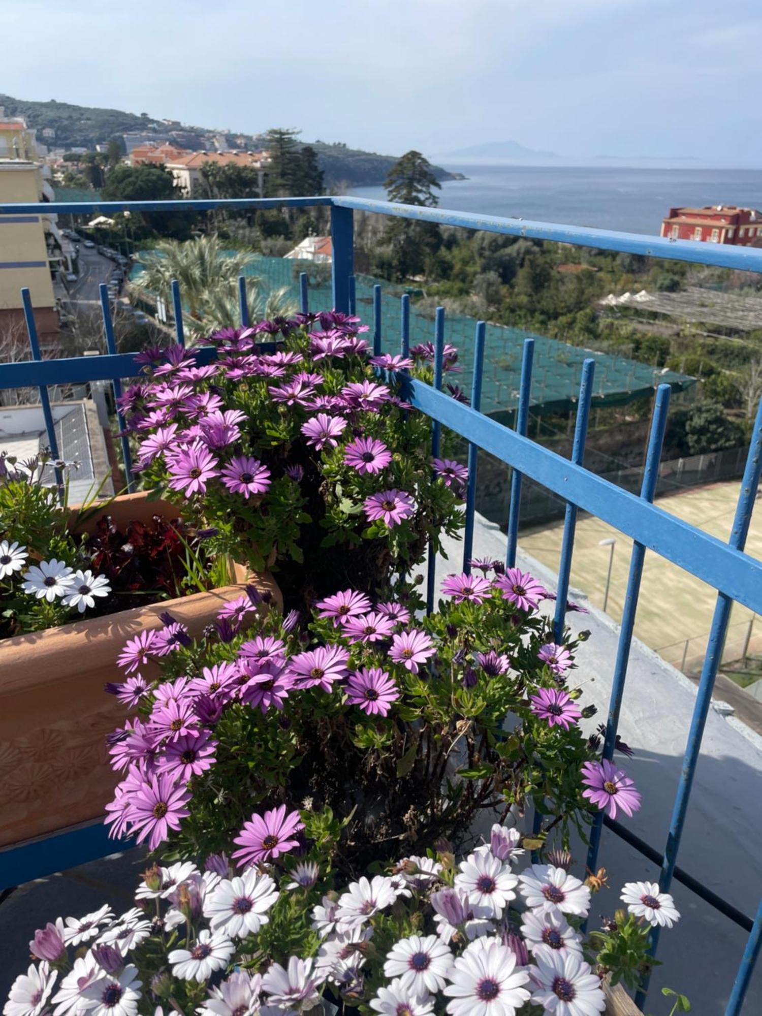 Sea&skyview * Sorrento