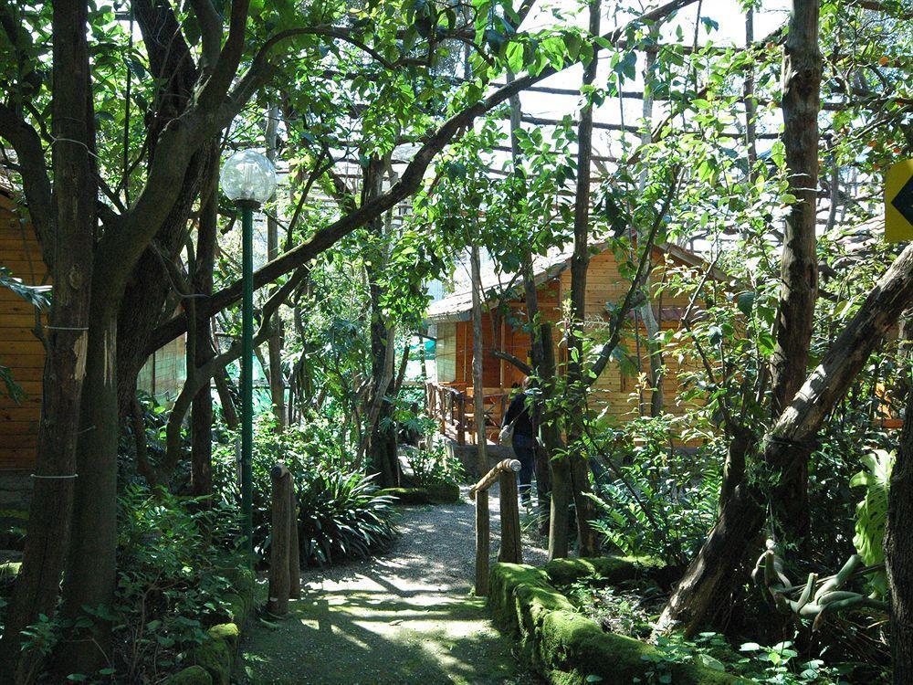 Villaggio 3* Sorrento