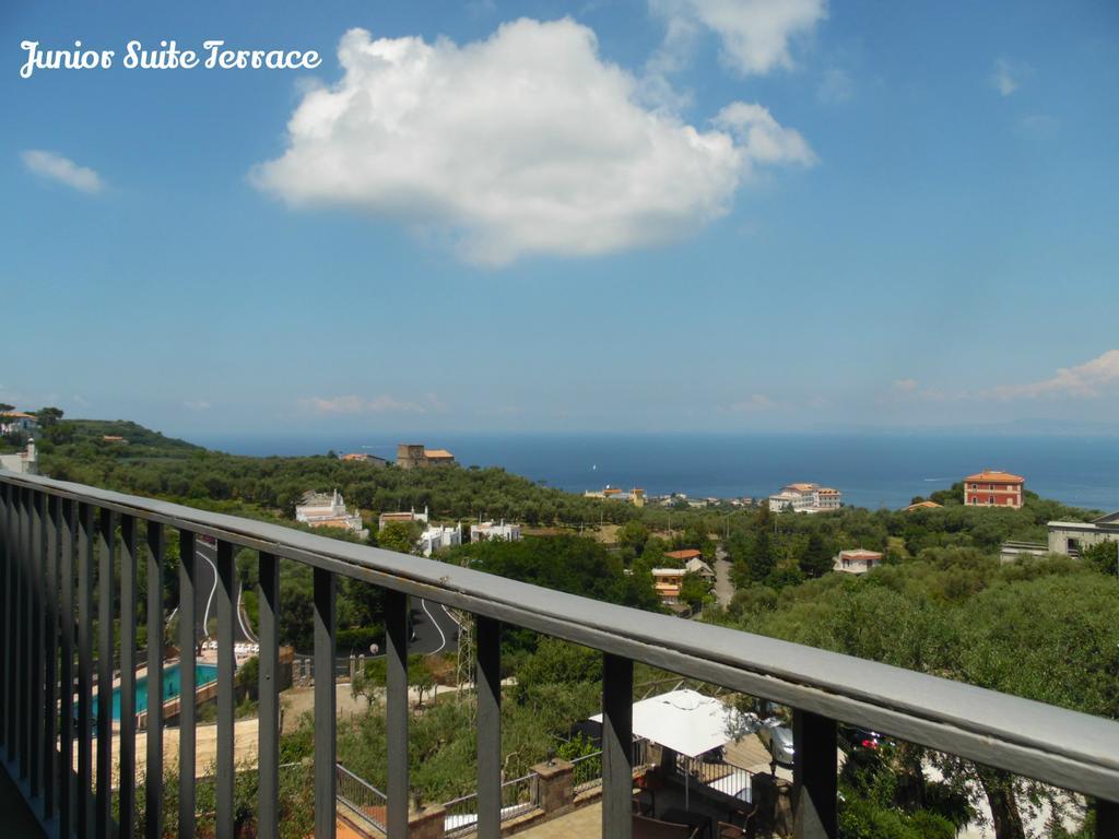 Carolina Private Heated Mini Pool And Sea View Villa Sorrento