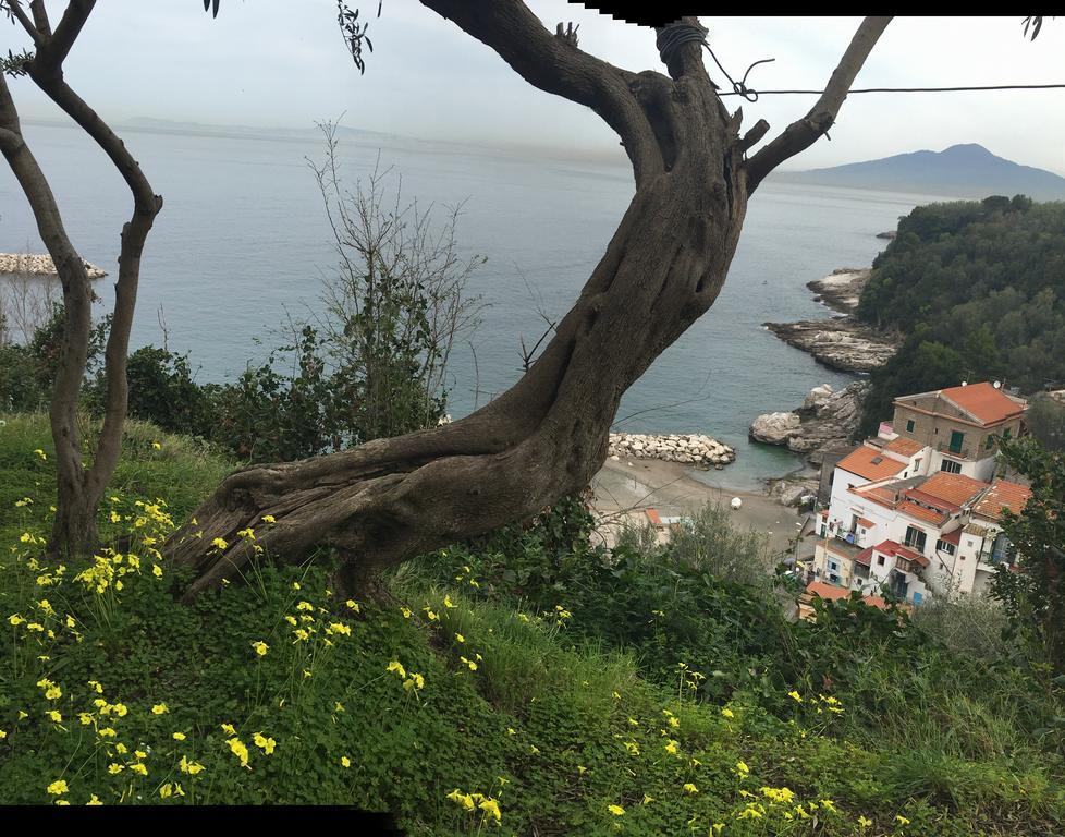 Rosmary - Coast - Gulf Of Naples View Apartment