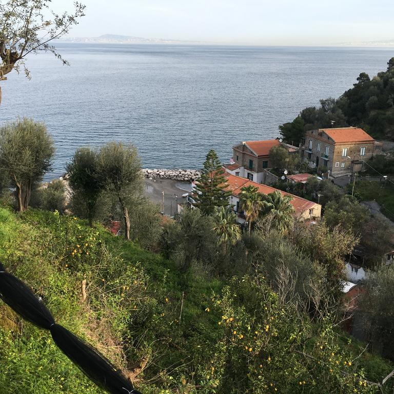 Rosmary - Coast - Gulf Of Naples View Apartment