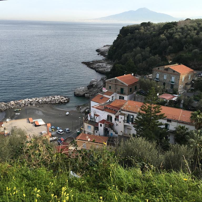 Rosmary - Coast - Gulf Of Naples View *
