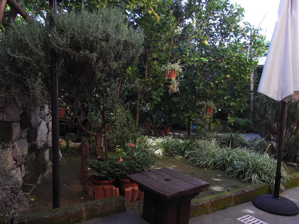 Appartamento Casale Nunziatina *