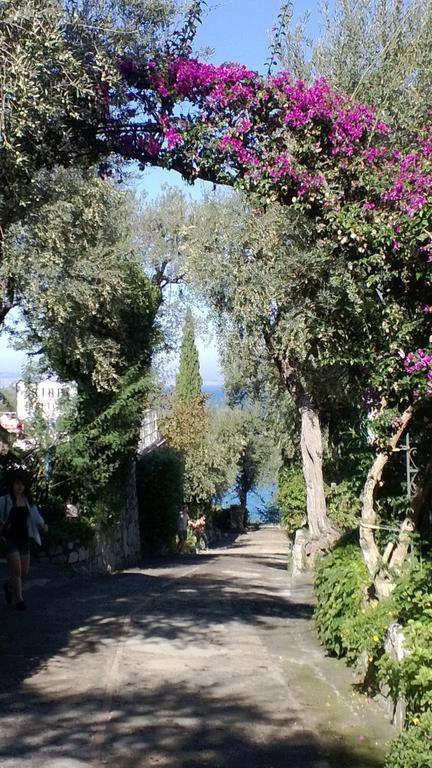 Campsite Nube D'argento *