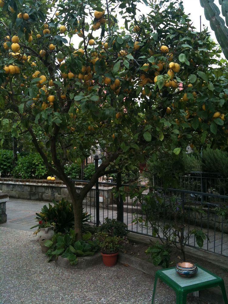 Alviani Anna 2* Sorrento