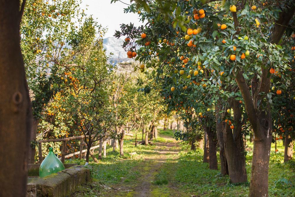 Relais Correale & Garden Acomodação com café da manhã  3*