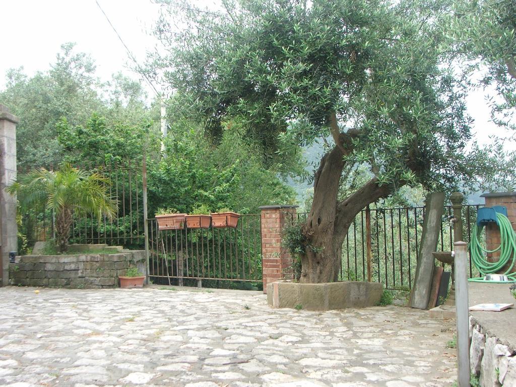 Villetta Surriento Sorrento