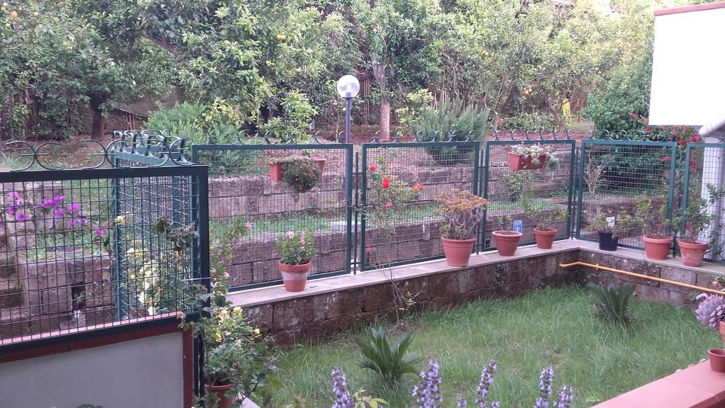 Bed & Breakfast Il Giardino Di Montariello Sorrento