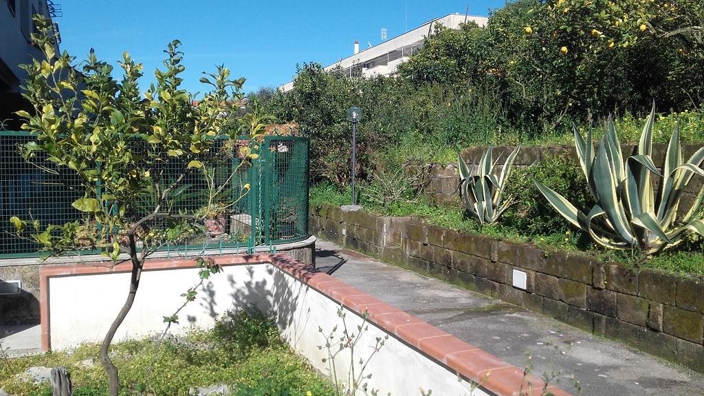 Il Giardino Di Montariello *