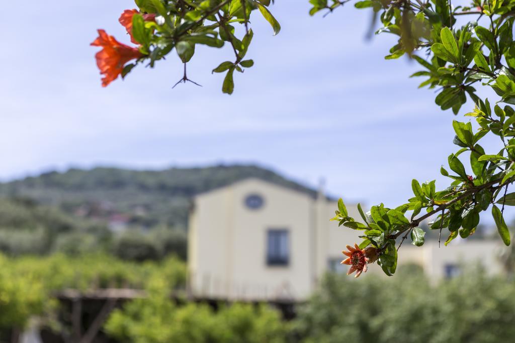 Hotel Relais Regina Giovanna 4*