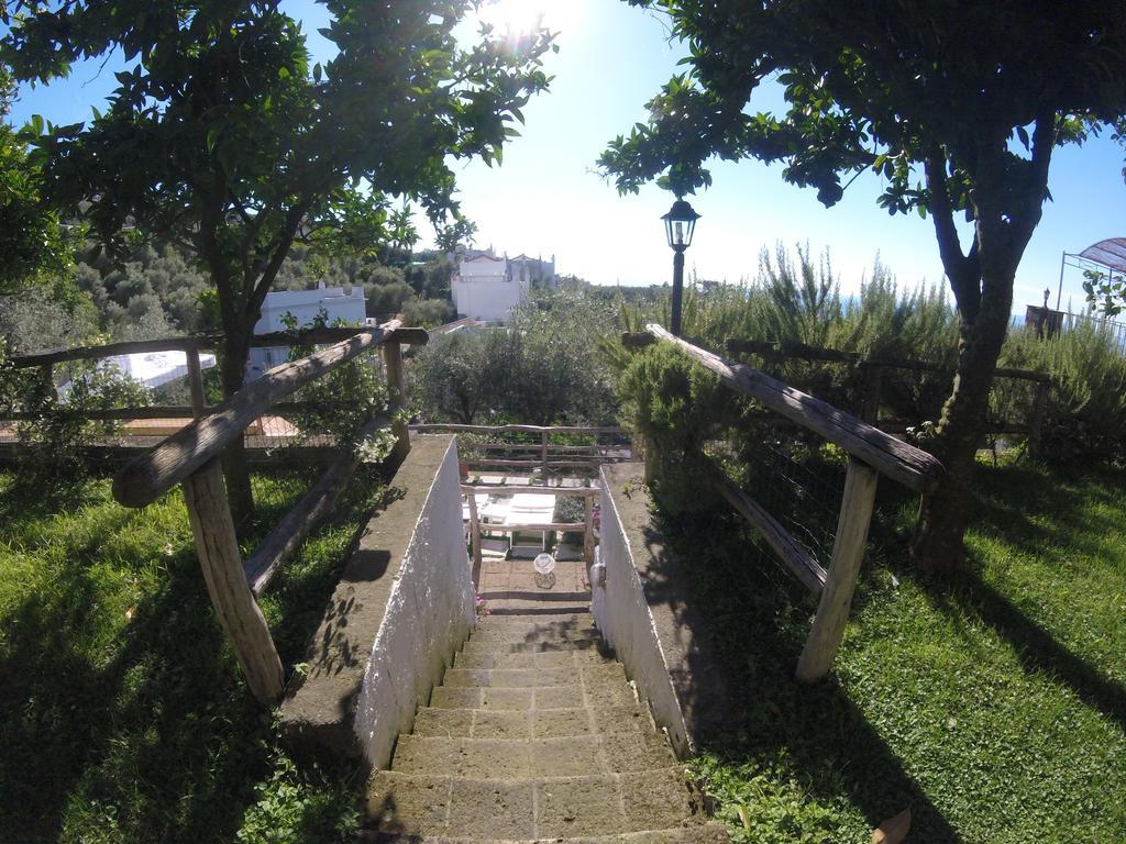 Carolina Private Heated Mini Pool And Sea View Villa *