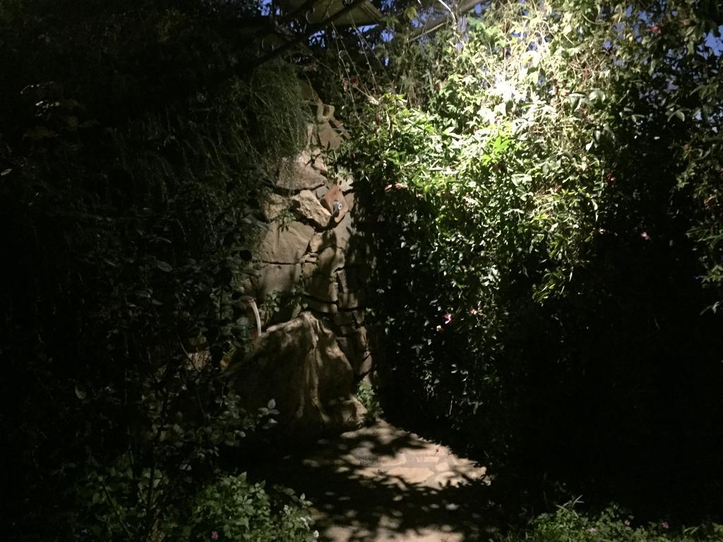 Li Schisani Sorrento