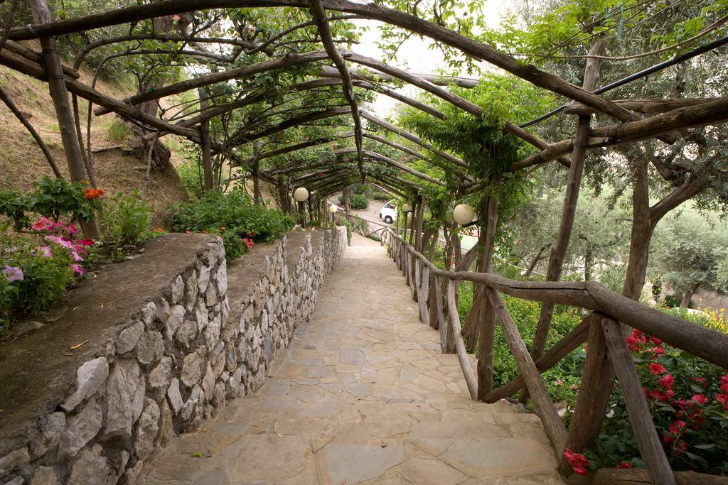 Bristol Sorrento