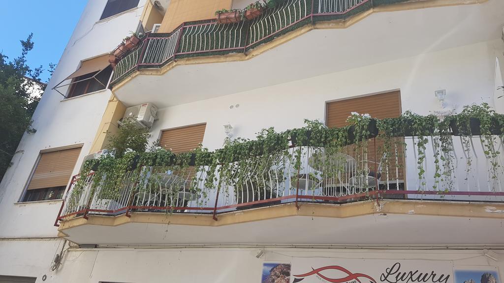 Flower Guest house