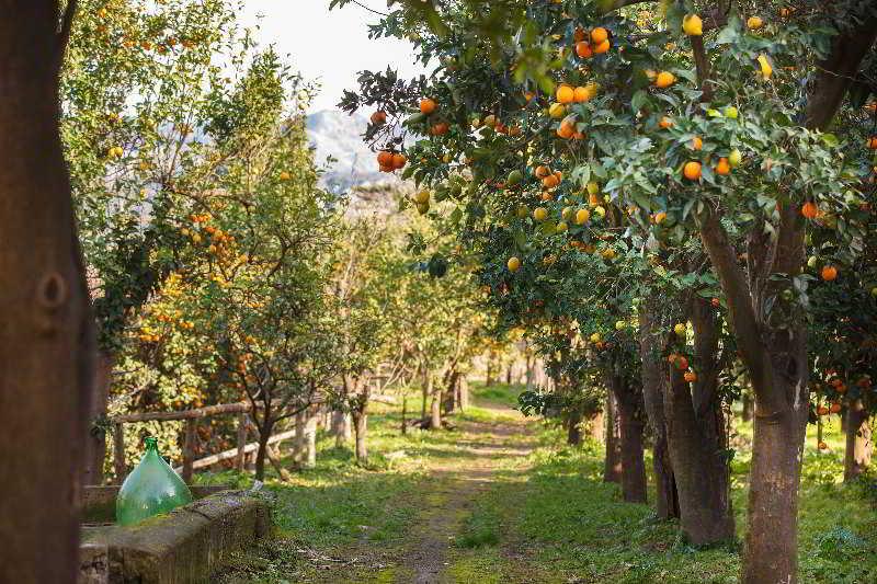 Relais Correale & Garden