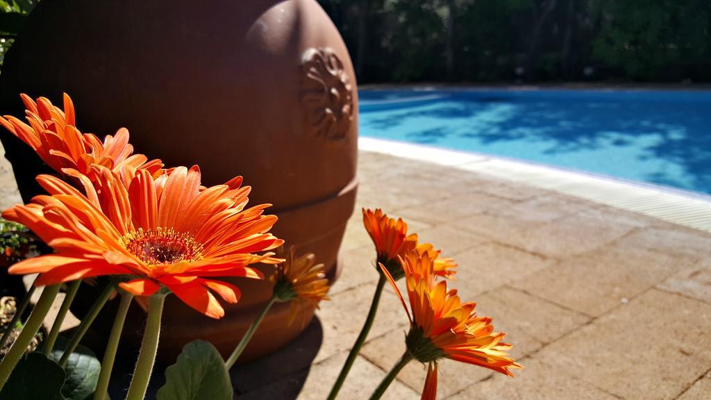 Villaggio 3* Sorrento