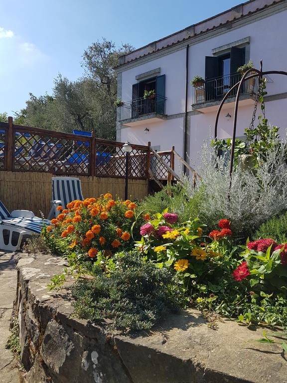Casa de hóspedes Il Casale