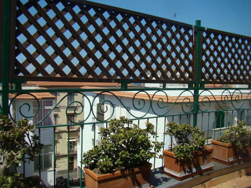 Sorrento Inn Guesthouse Guest house Sorrento