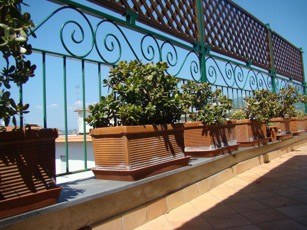 Sorrento Inn Guesthouse * Sorrento
