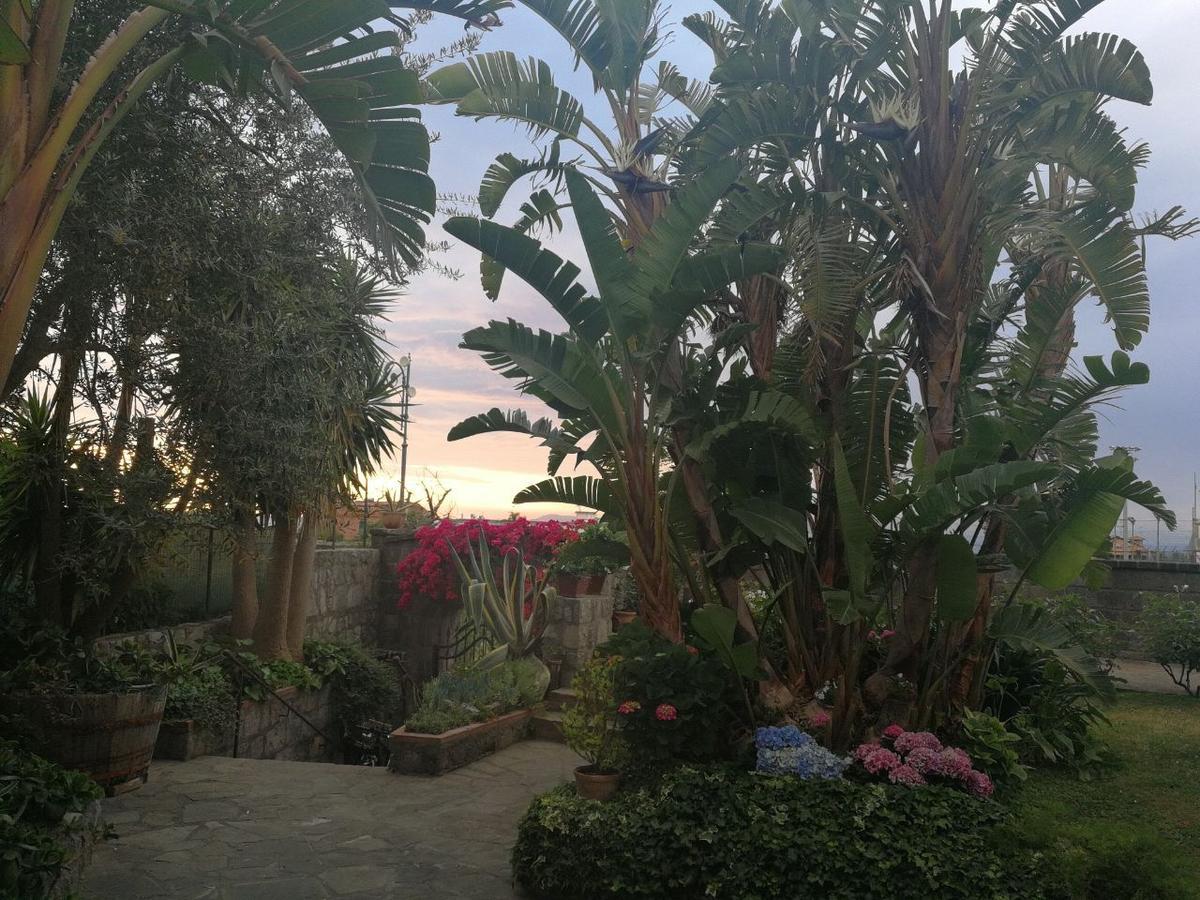Bella Bed & Breakfast