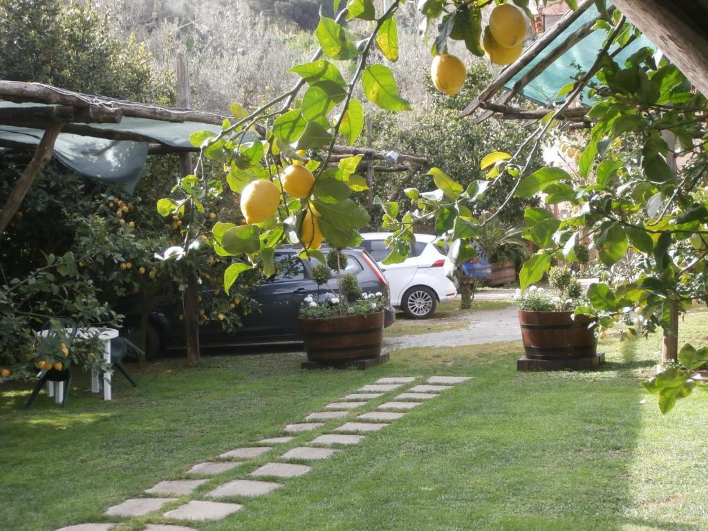 Bed & Breakfast De Angelis