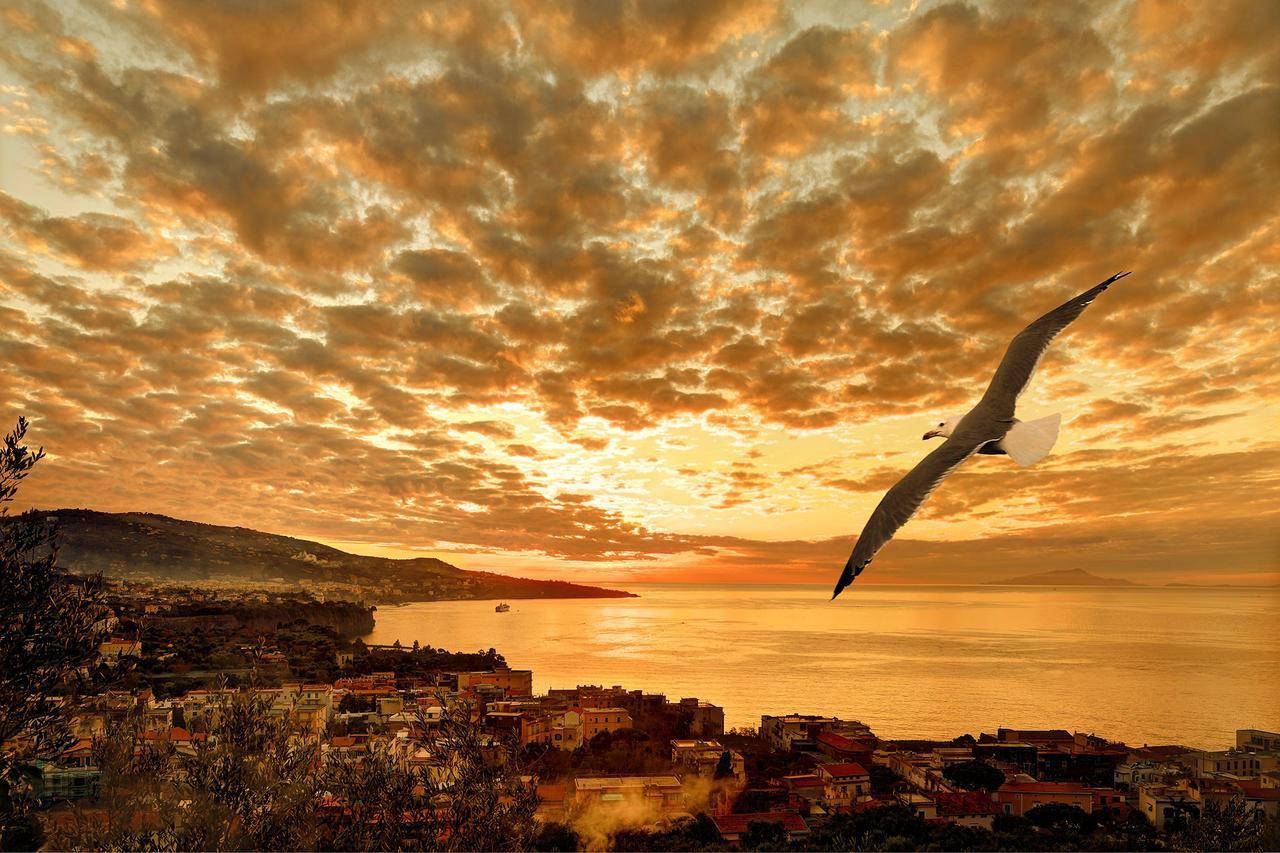 Appartamento Caruso 4 Sorrento