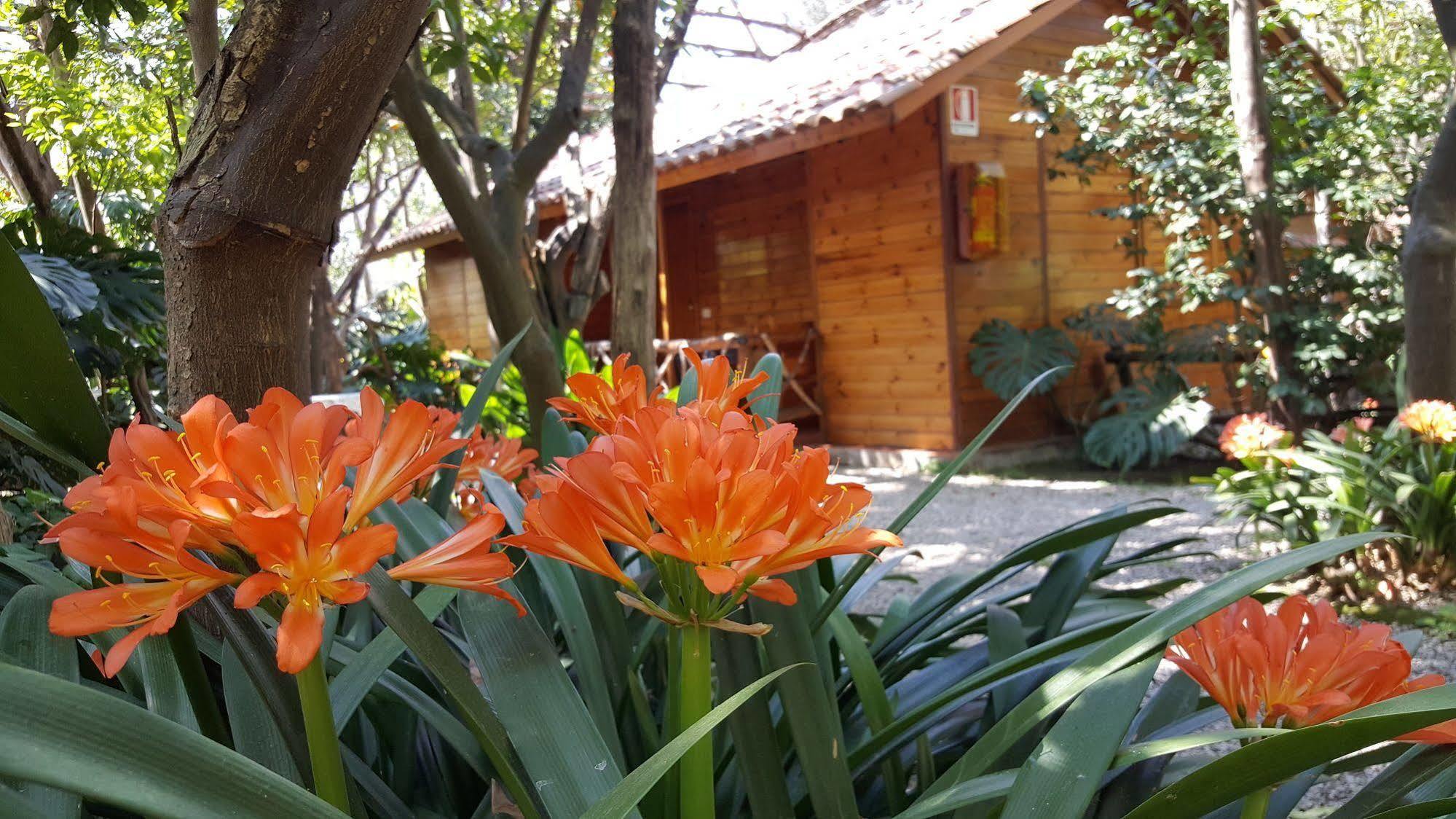 Villaggio 3* Sorrento