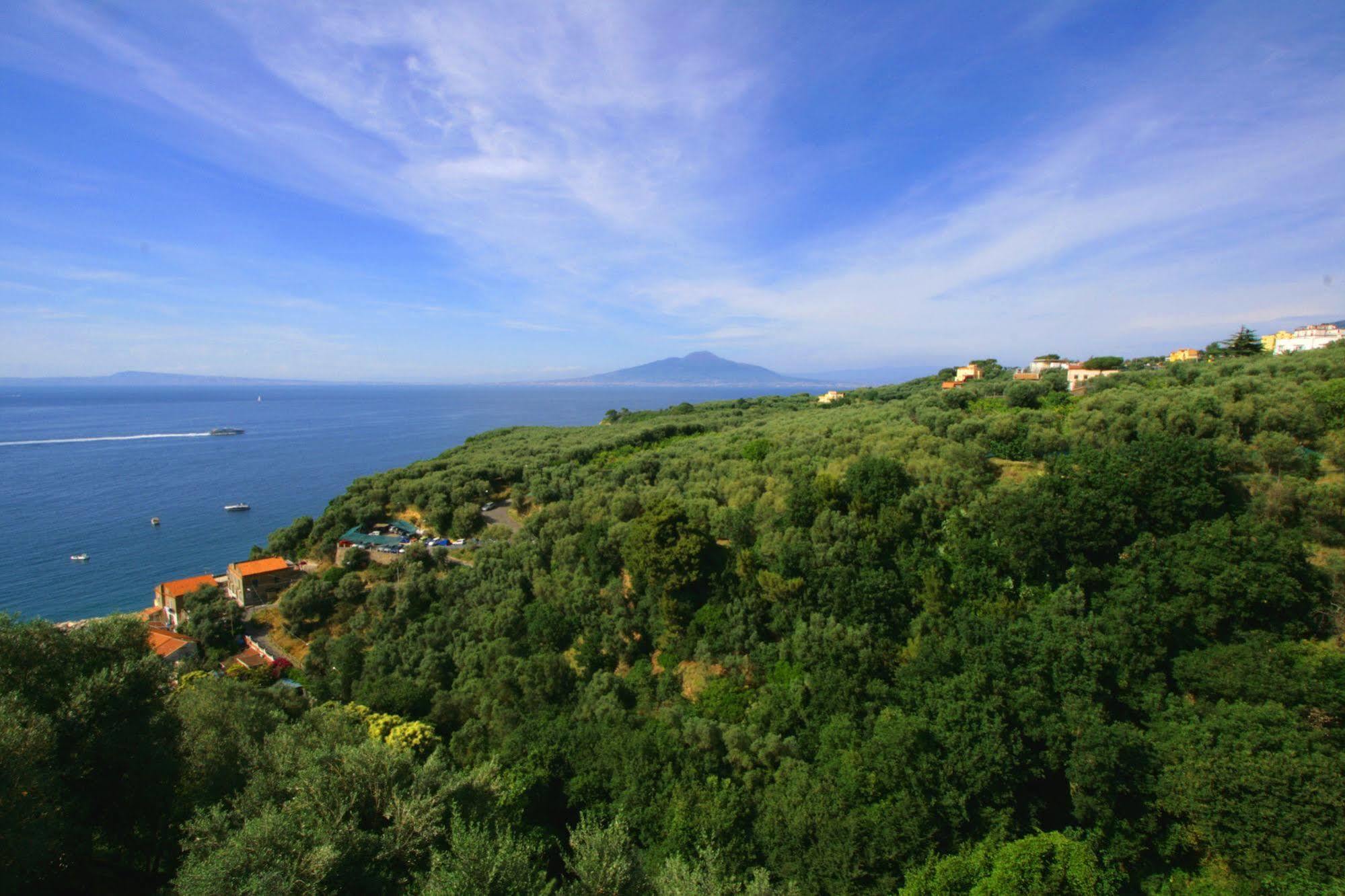 Apartment Rosmary - Coast - Gulf Of Naples View