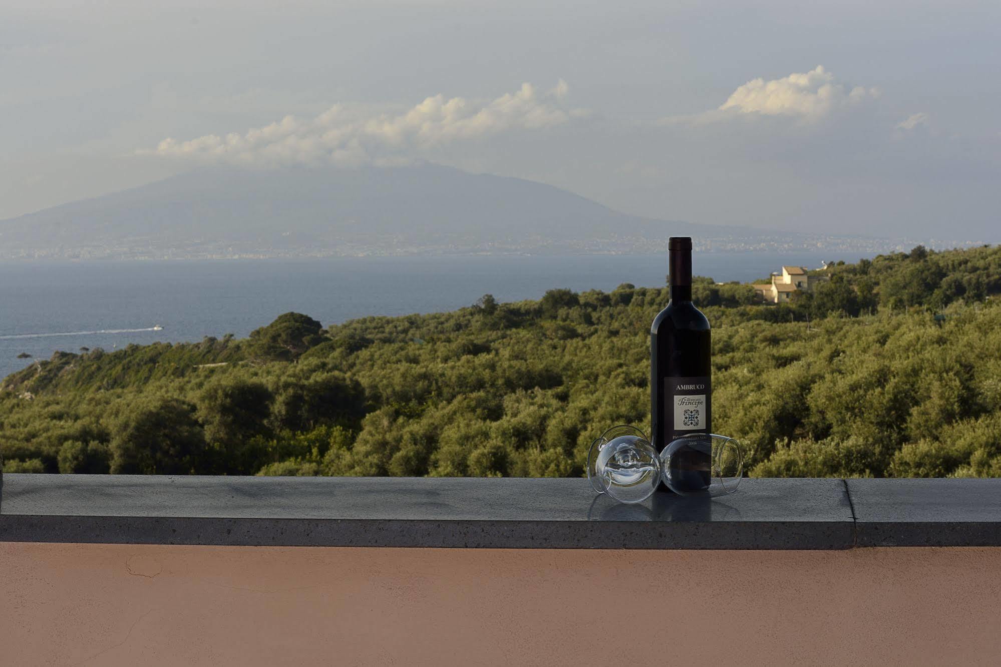 Rosmary - Coast - Gulf Of Naples View * Sorrento