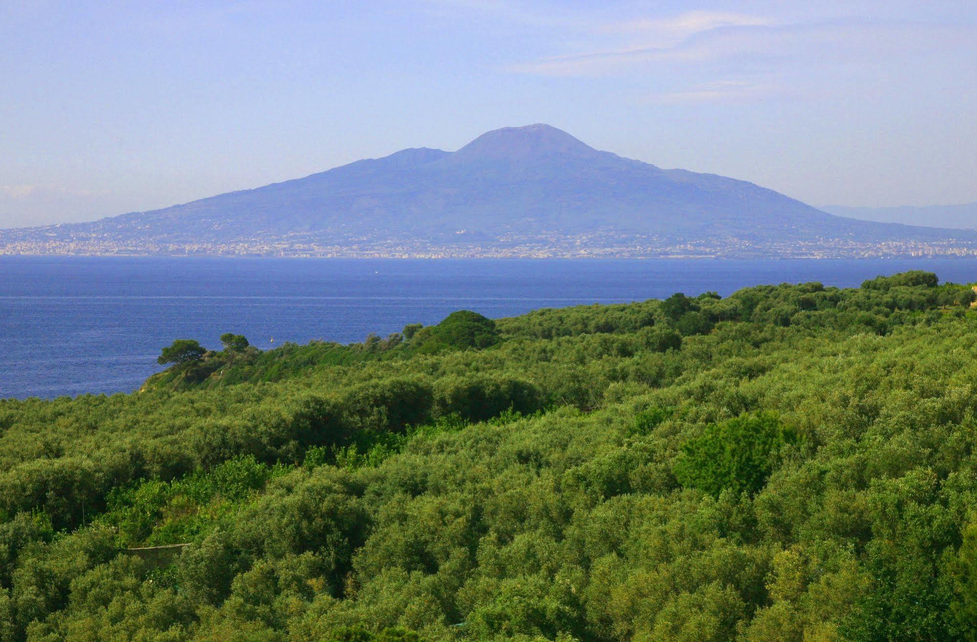 Apartment Rosmary - Coast - Gulf Of Naples View Sorrento