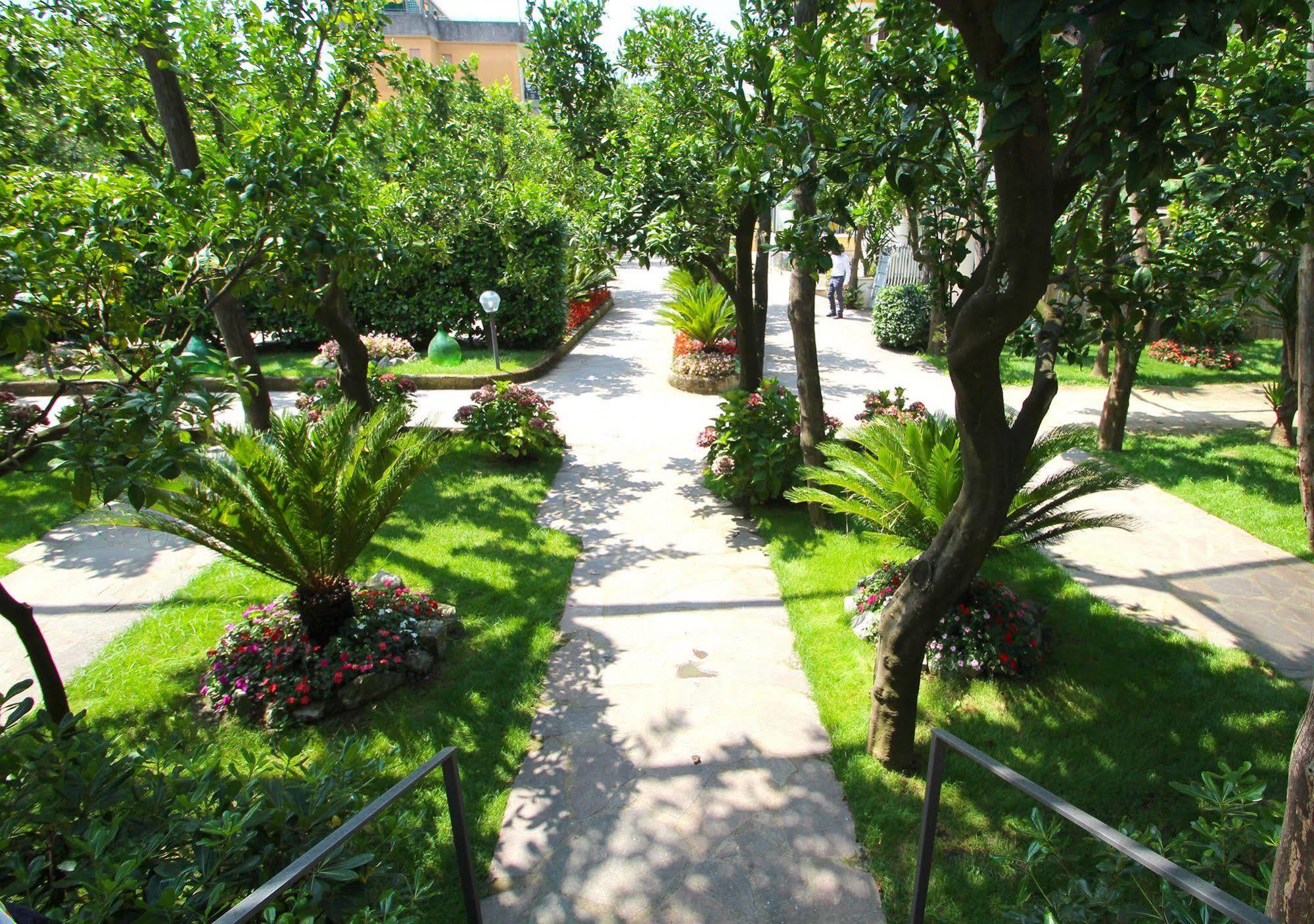 Florida Hotel Sorrento