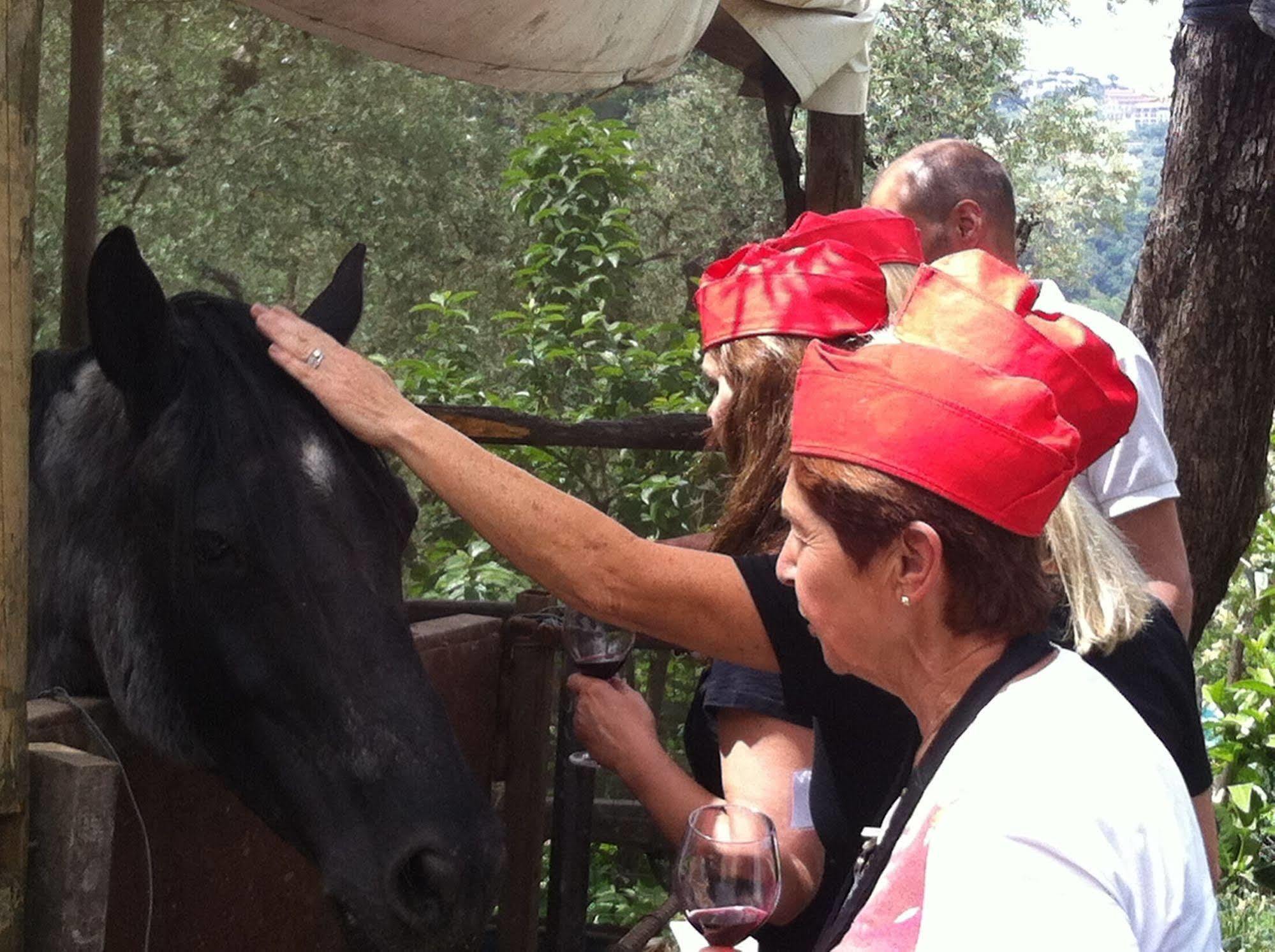 Farm stay Pane Sorrento