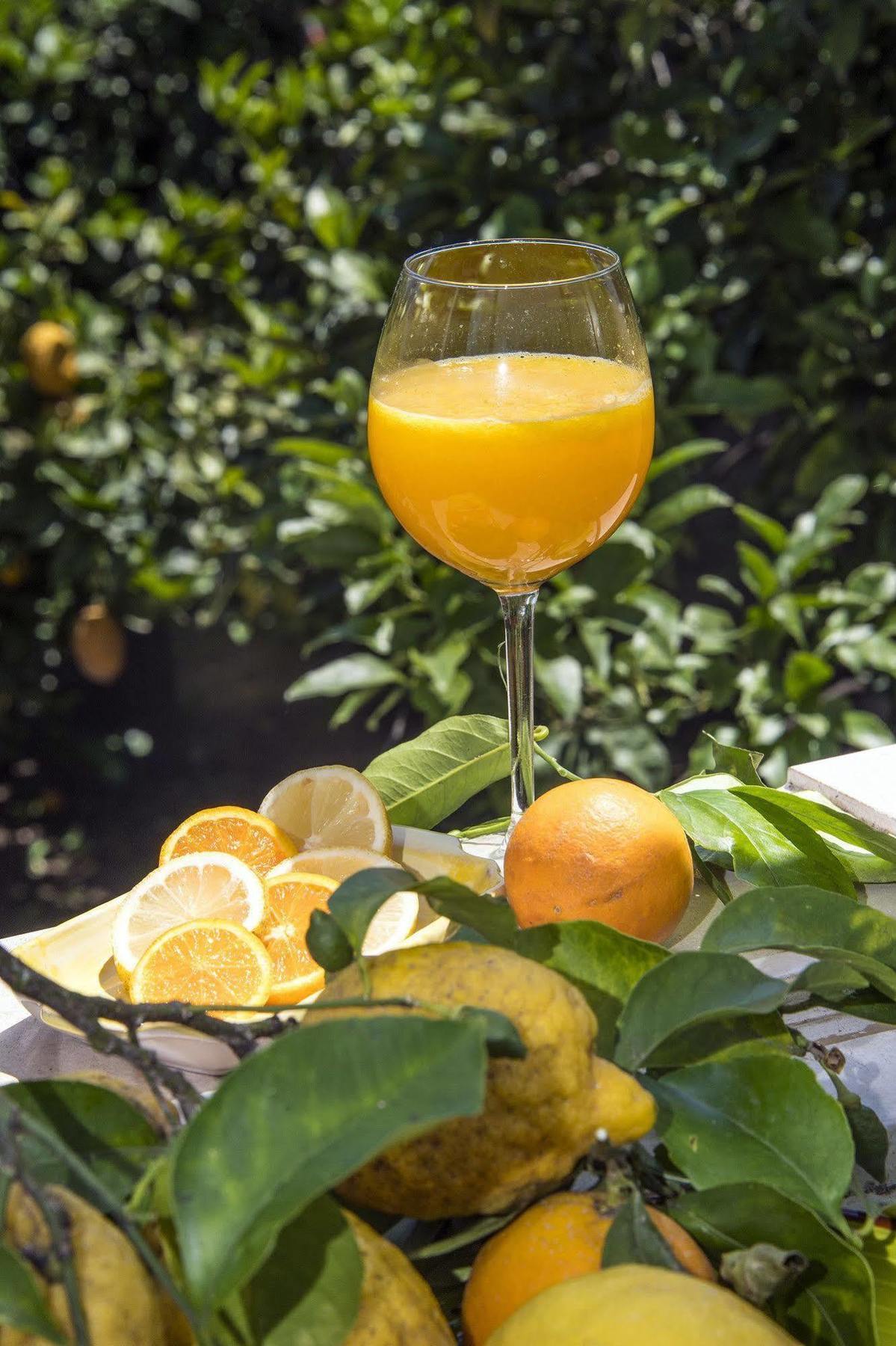 Relais Correale & Garden Acomodação com café da manhã  3*